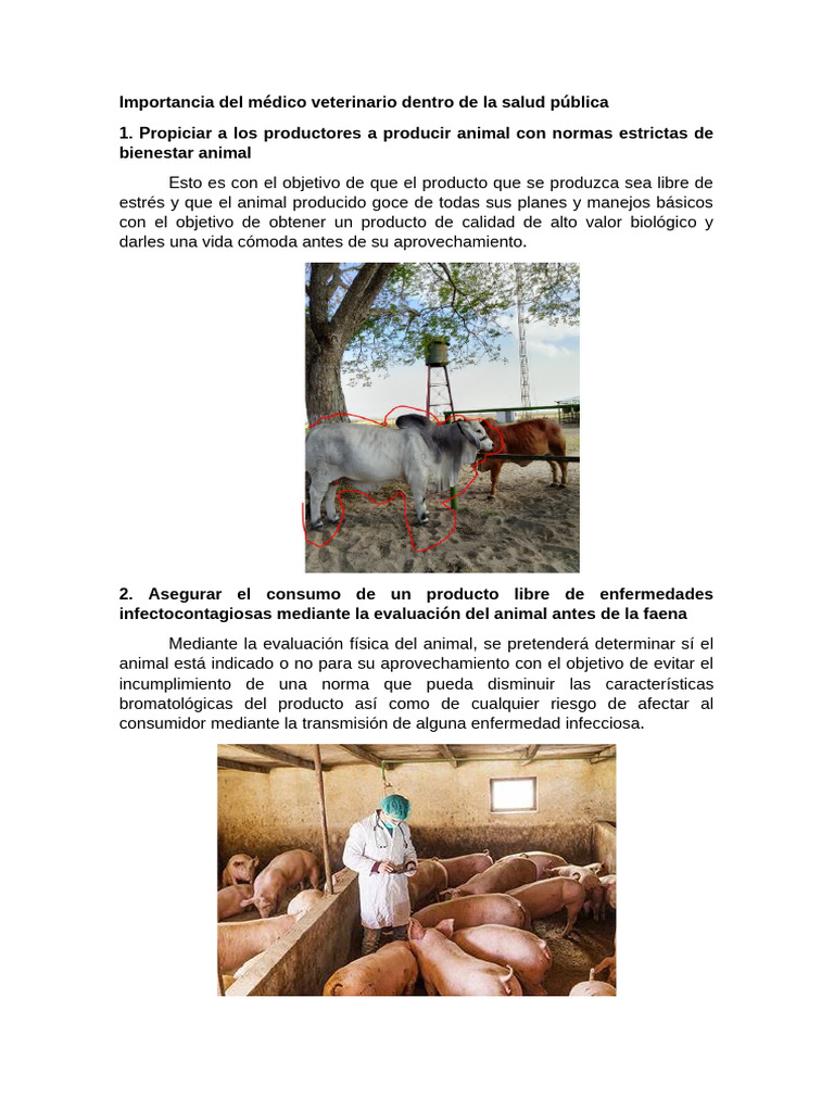 Rol del veterinario en salud pública | PDF | Especialidades Medicas ...