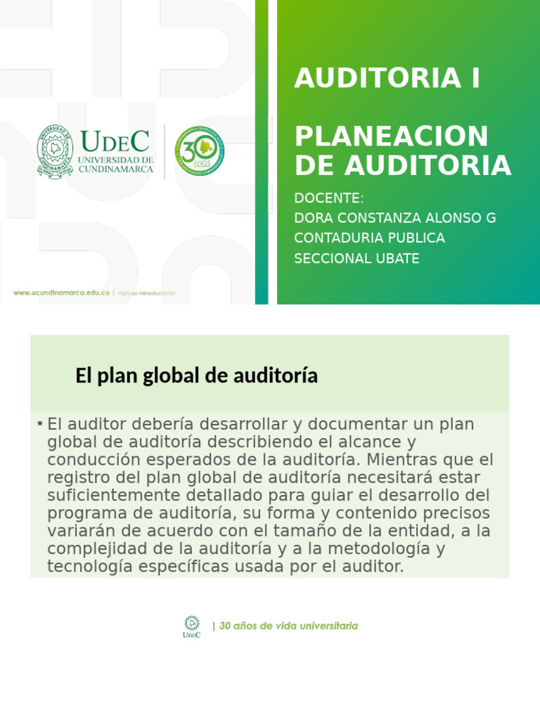 AUDITORIA I - Planeacion | PDF