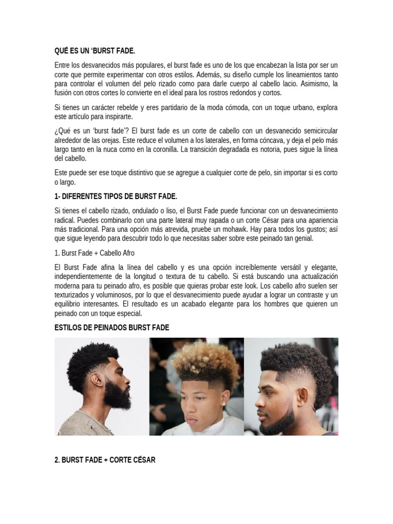 Burts Fade | PDF