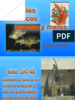 Peces Buenos y Malos (2)
