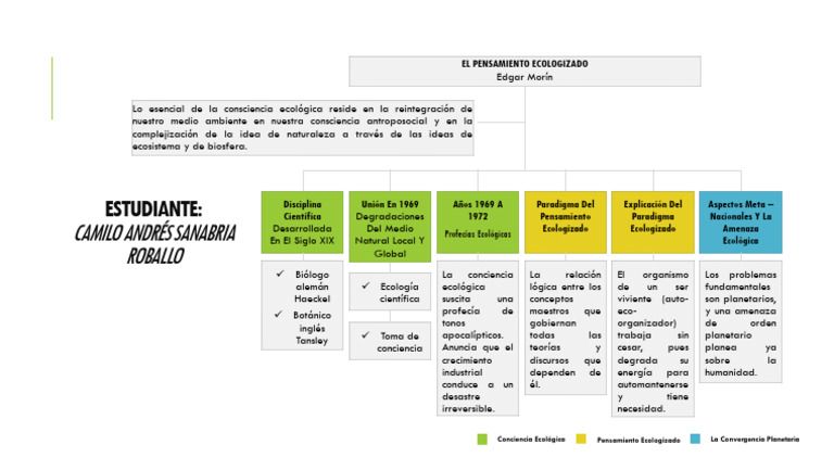 Mapa Conceptual | PDF
