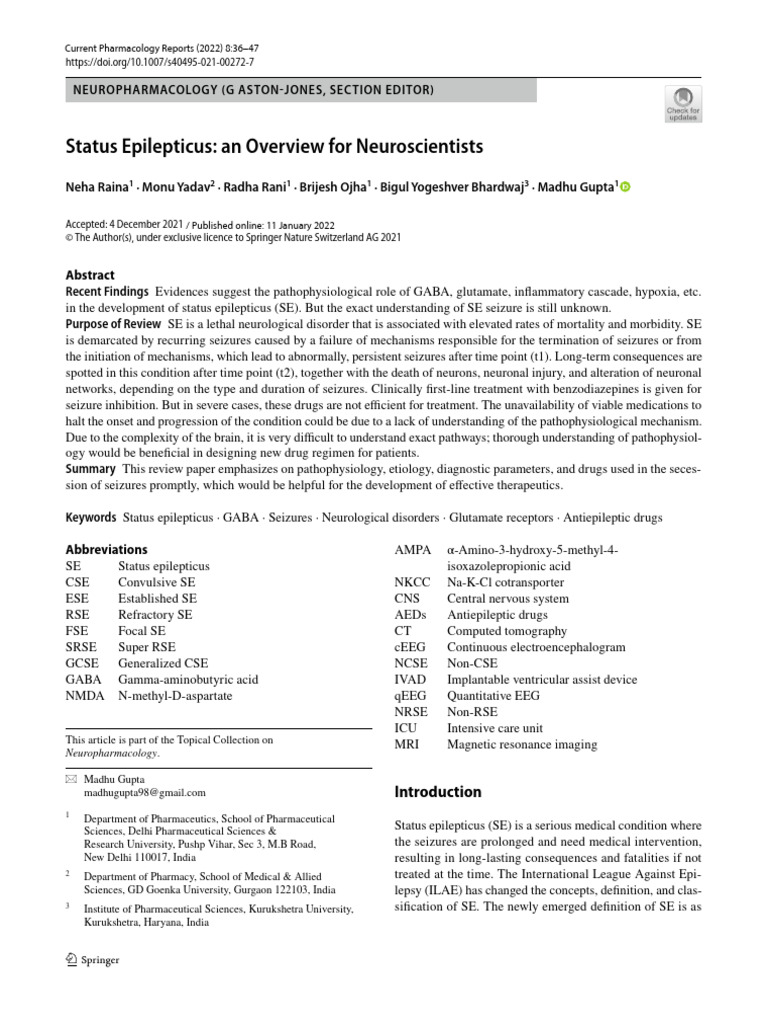 2022-status-epilepticus-an-overview-for-neuroscientists-pdf