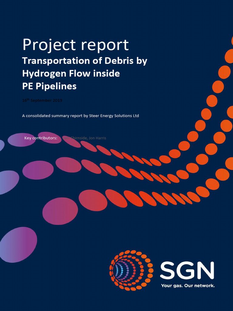 H100 NIA Hydrogen Debris Report | PDF | Gases | Fluid Dynamics