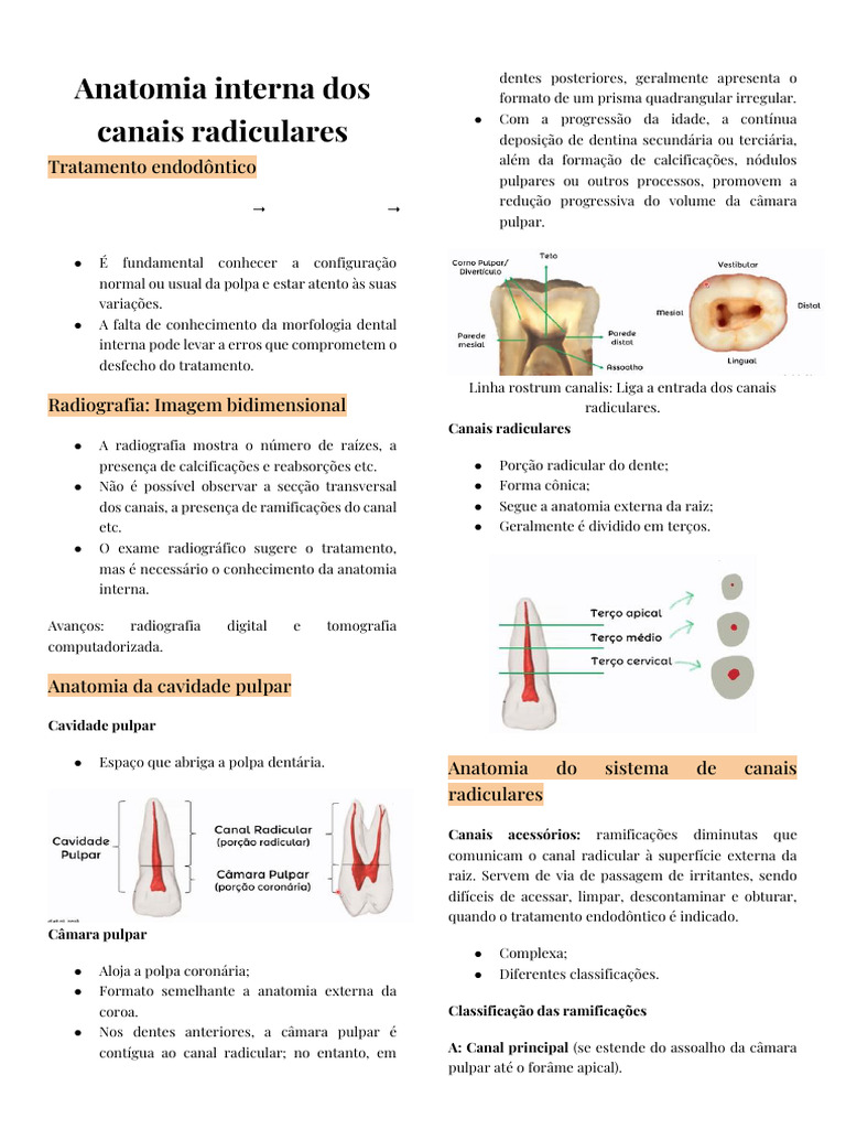 A2 - Anatomia Interna Dos Canais Radiculares | PDF
