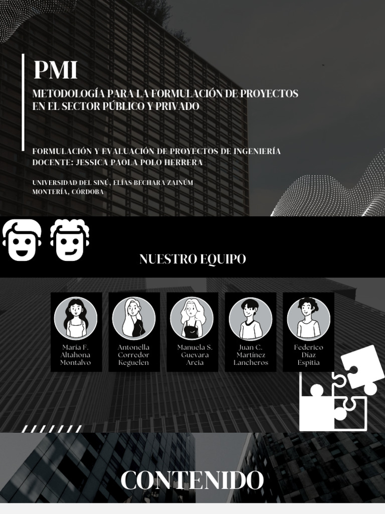 Metodología para La Formulación de Proyectos en El Sector Público Y ...