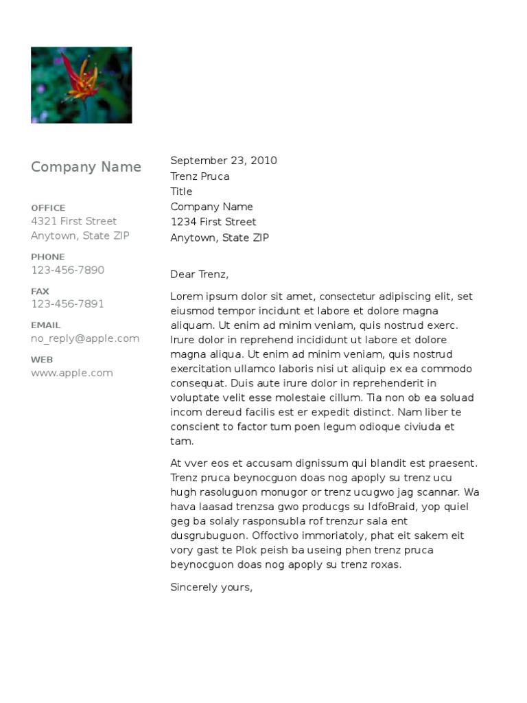 Modern Photo Letter | PDF | Language Arts & Discipline
