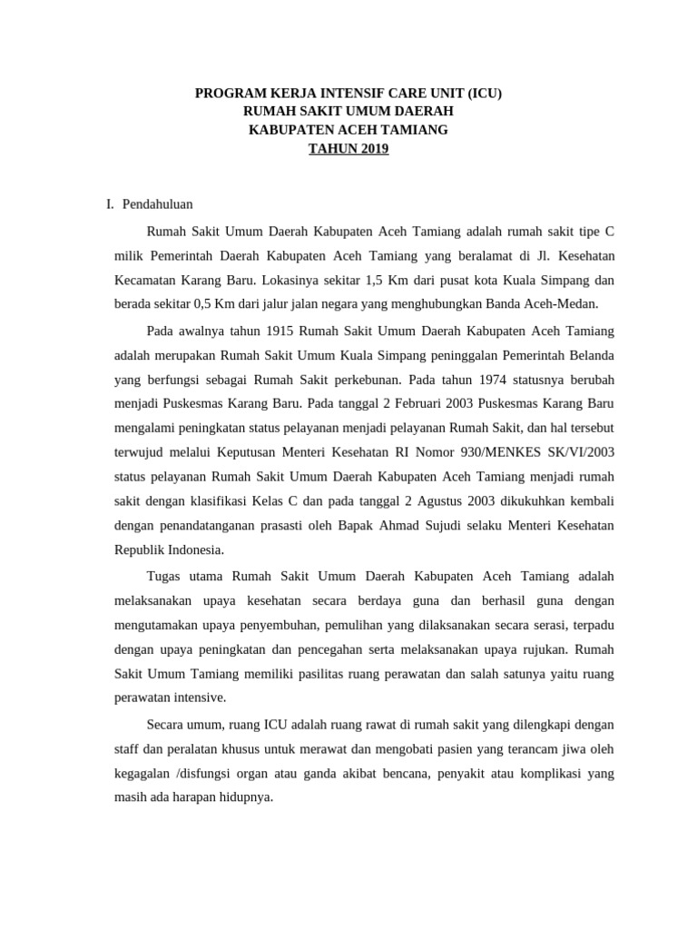 Program Kerja Intensif Care Unit | PDF