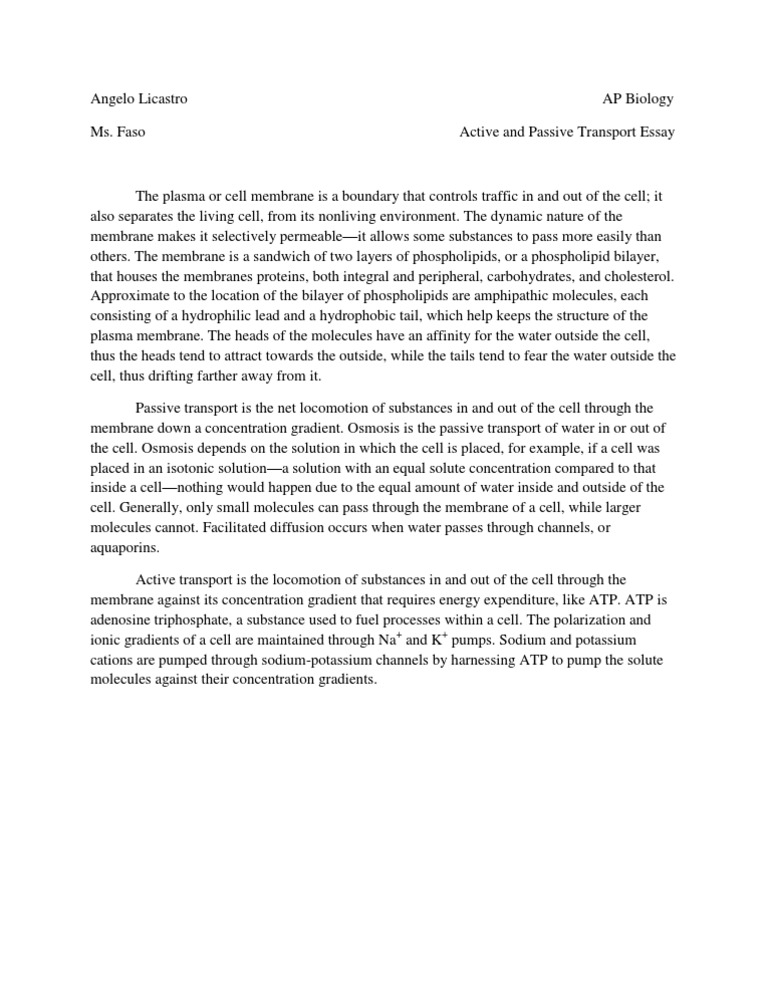 Active transport essay picture