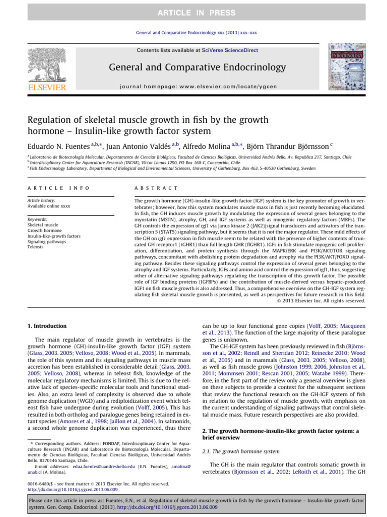 Regulation of Skeletal Muscle Growth in | PDF