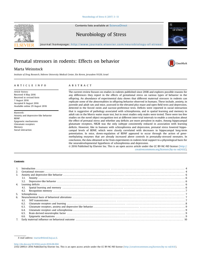 Prenatal Stressor in Rodents | PDF