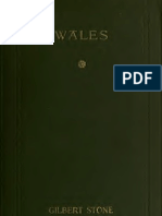 Walesheroriginss 00 Stoniala