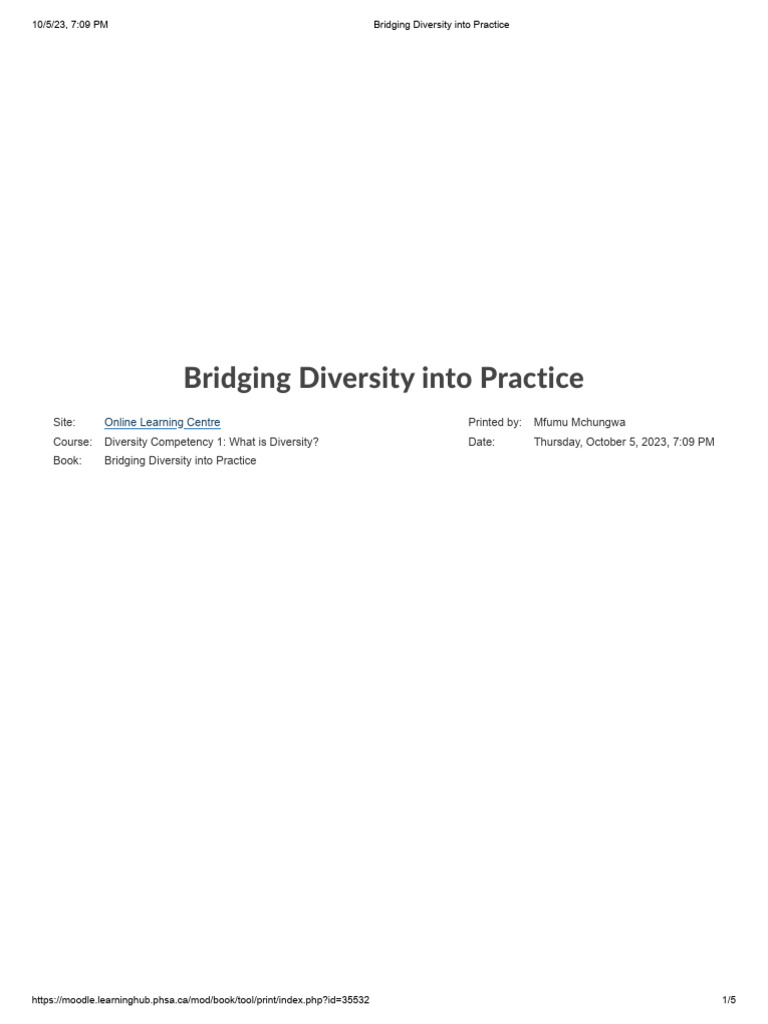 Bridging Diversity Into Practice | PDF