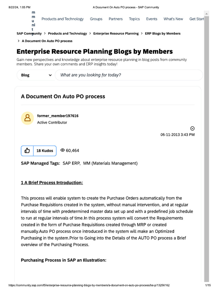 A Document On Auto PO Process | PDF