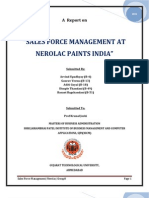 Nerolac Sales Force Management