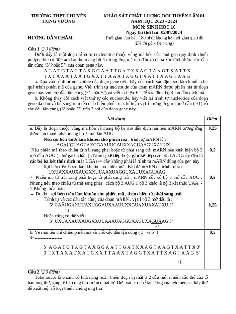 HDC - NGÀY 2 - KSCL LẦN 1 - S10 | PDF