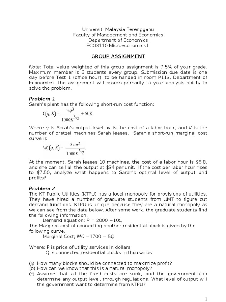 Microeconomics II Group Assignment Guide | PDF