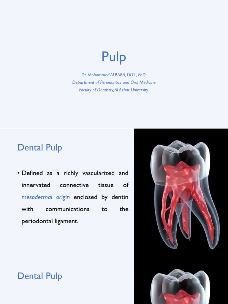 5 Pulp | PDF