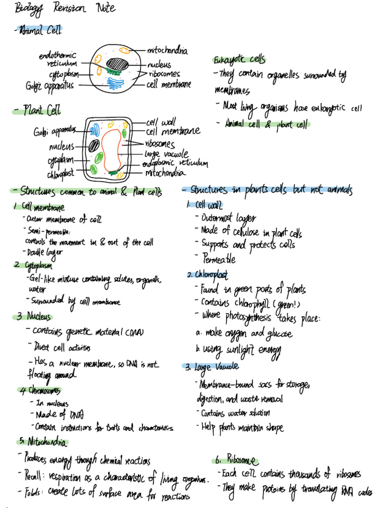 Biology Revision Note For Cell Structure | PDF
