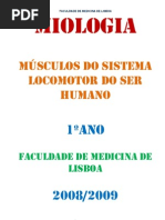 Miologia_Resumostamaria
