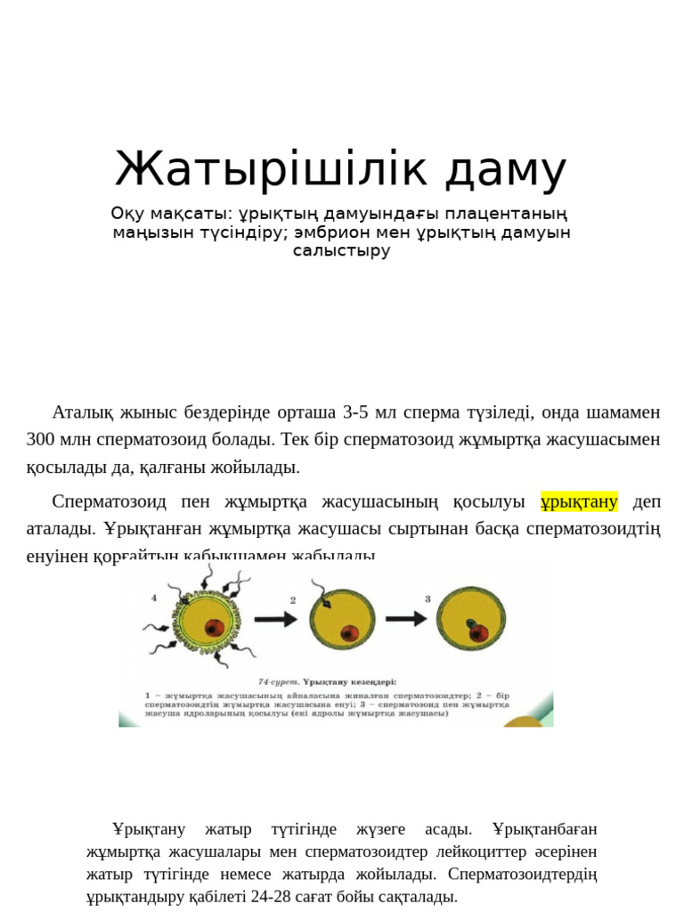 Порно Белисиа Теннис