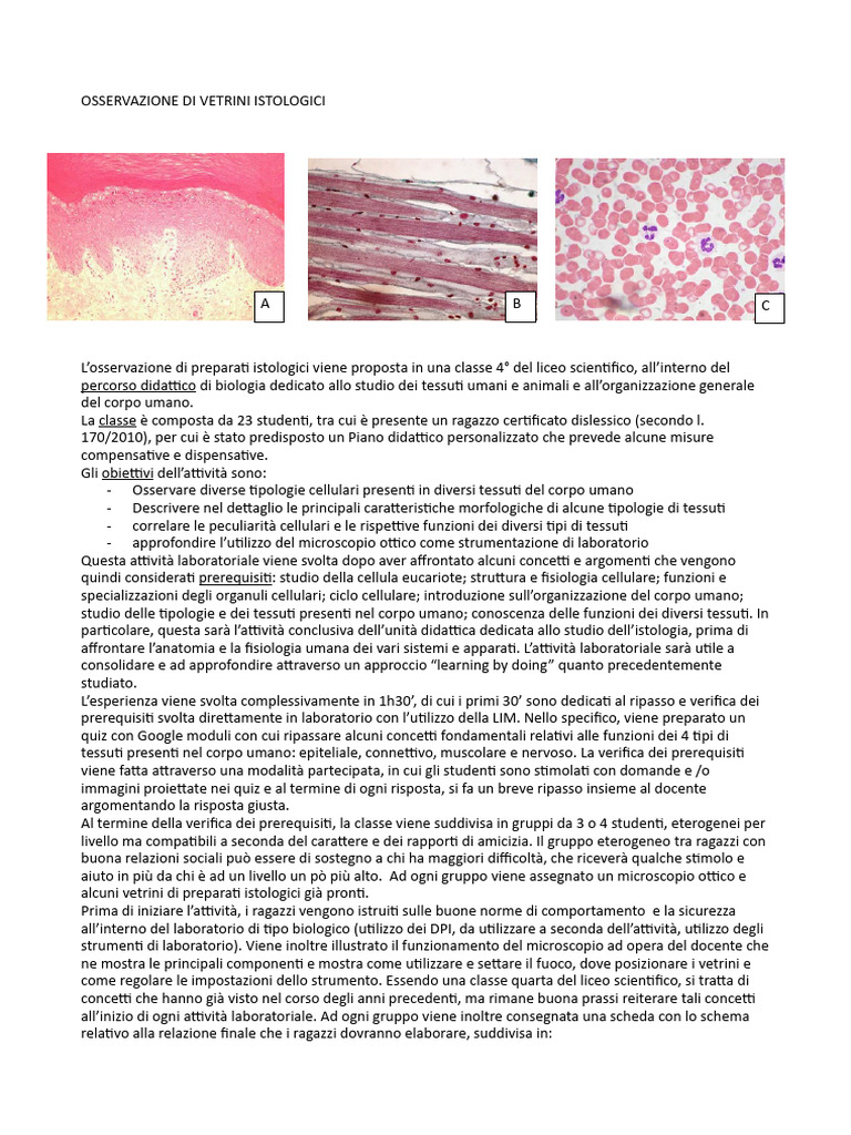 Osservazione Di Vetrini Istologici | PDF