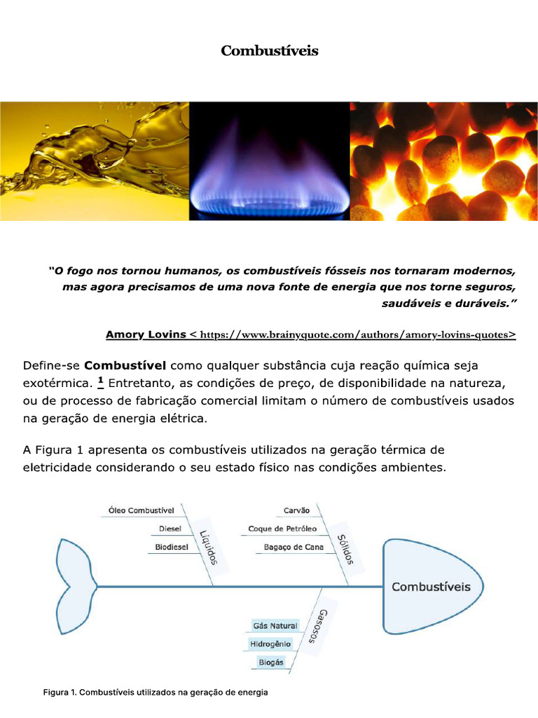 3 Combustíveis | PDF