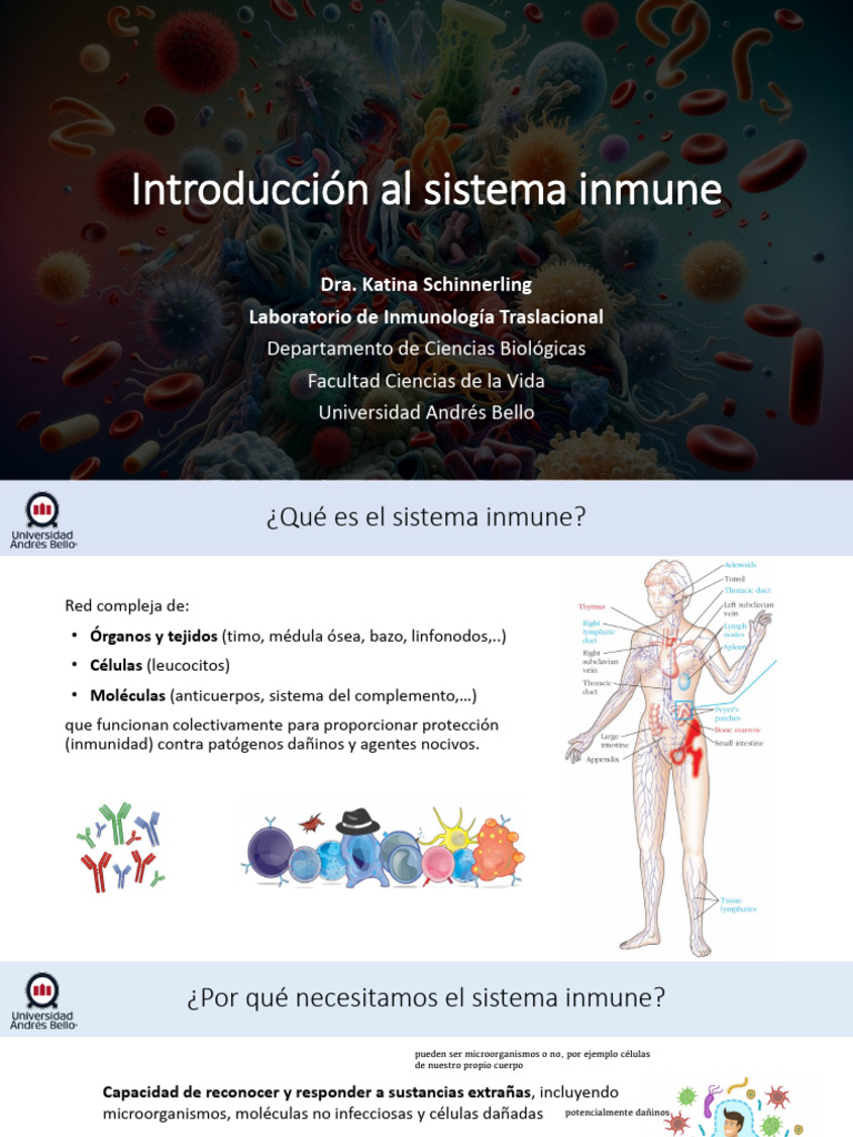 1 - Introducci C3 B3n Al Sistema Inmune - MED257 2024 | PDF