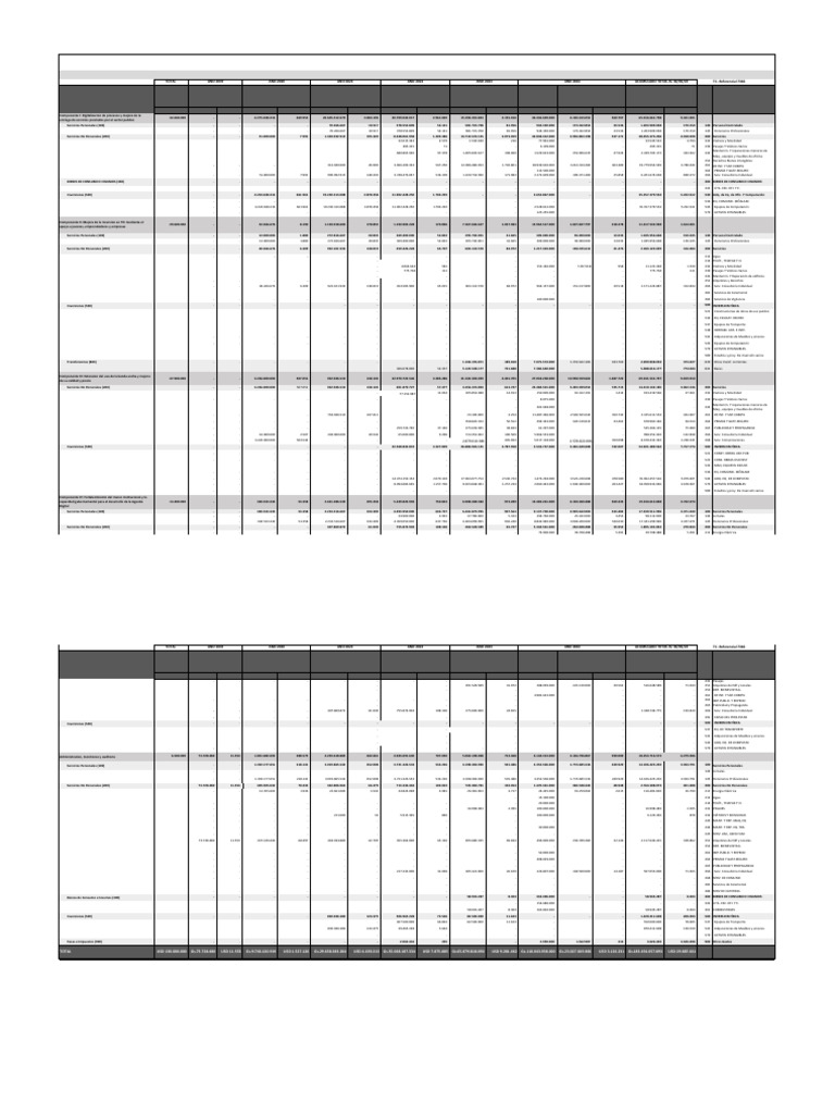 Informe Financiero UEP PAAD 30 - 06 - 24 | PDF