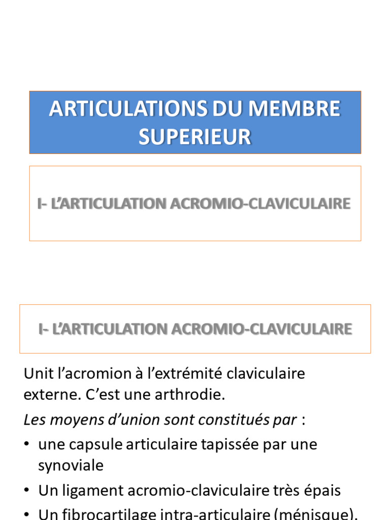 Diapo Articulations Des M Sup Pdf
