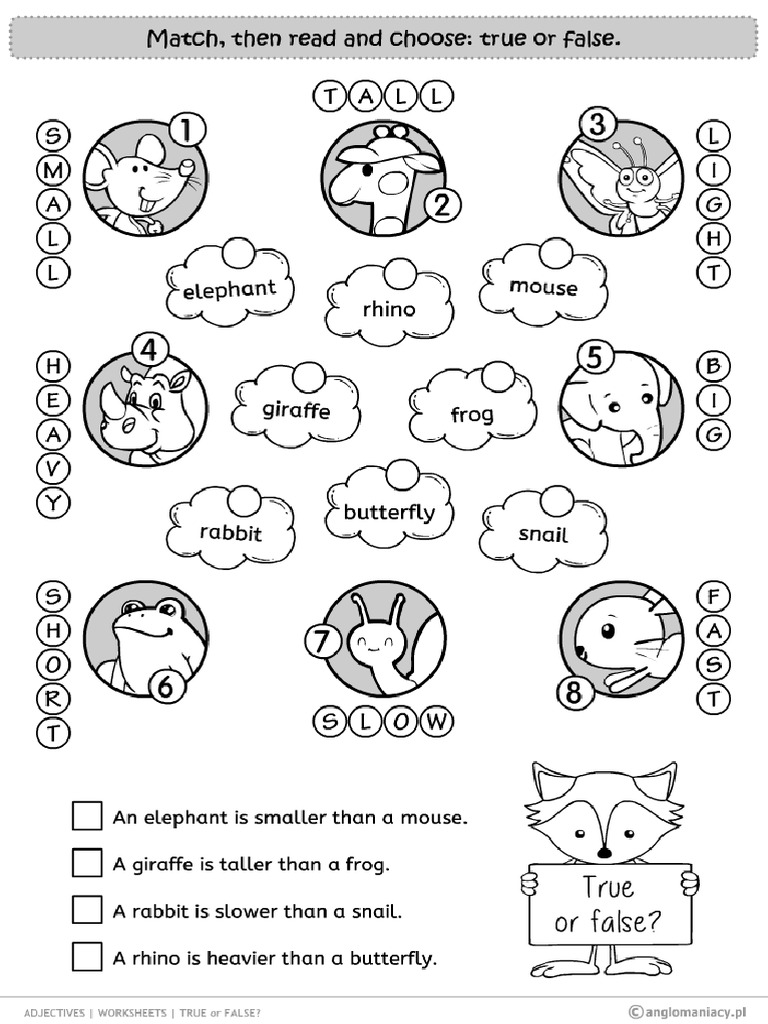 Grammar Worksheets Adjectives True False | PDF