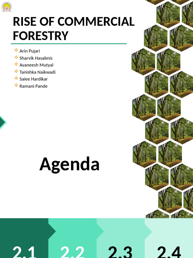 G2 Rise Of Commercial Forestry Aip Pdf