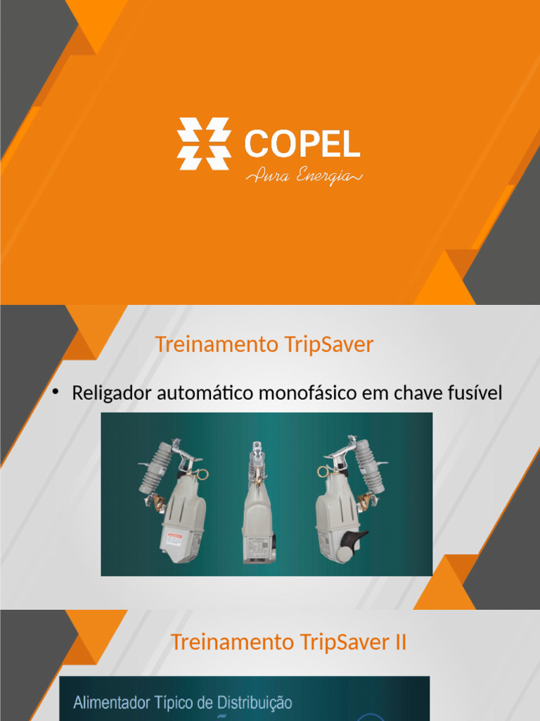 Apresentação Tripsaver - DAVI | PDF