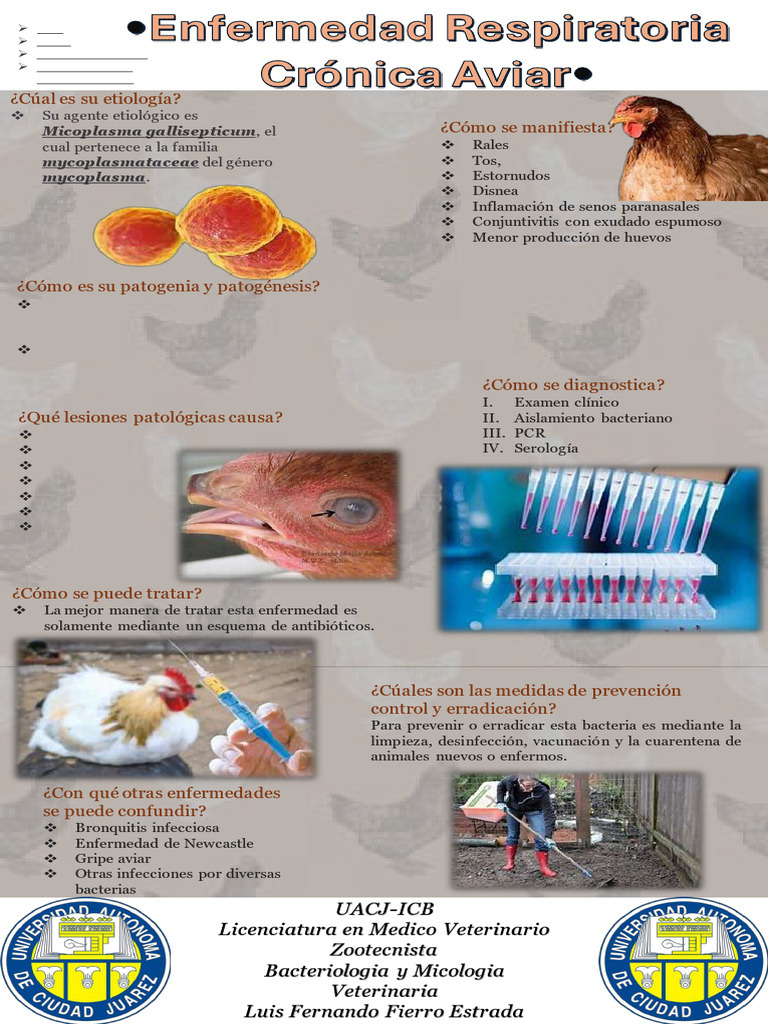 Poster Bacter | PDF