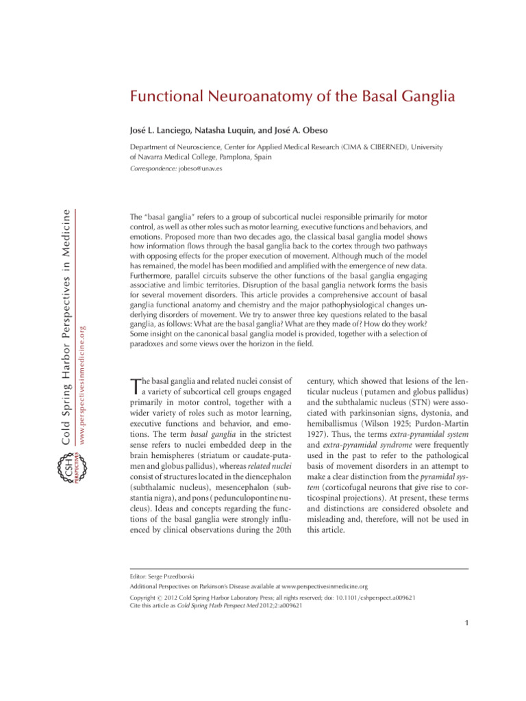 Functional Neuroanatomy of The Basal Ganglia | PDF | Basal Ganglia ...