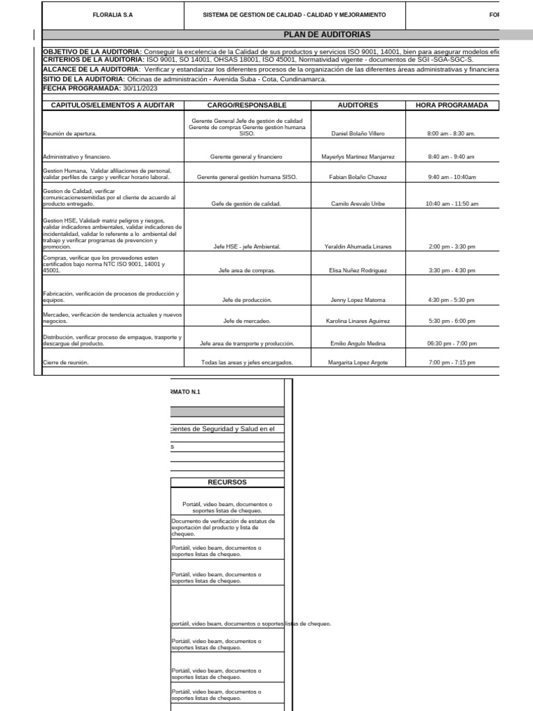 Plan de Auditorías para Calidad ISO 9001 | PDF | Auditoría | Sistema de ...