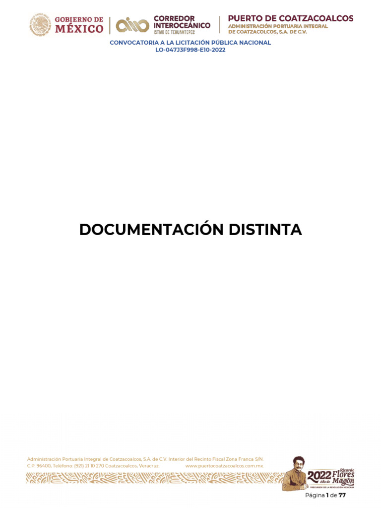 Formatos Doc Distinta, Tec y Eco | PDF