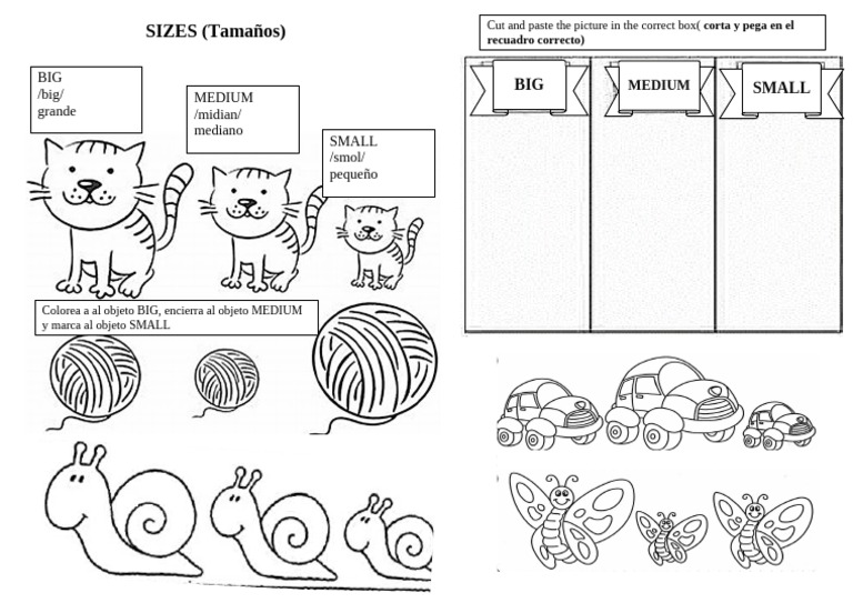 FICHA DEL Ingles Sizes | PDF