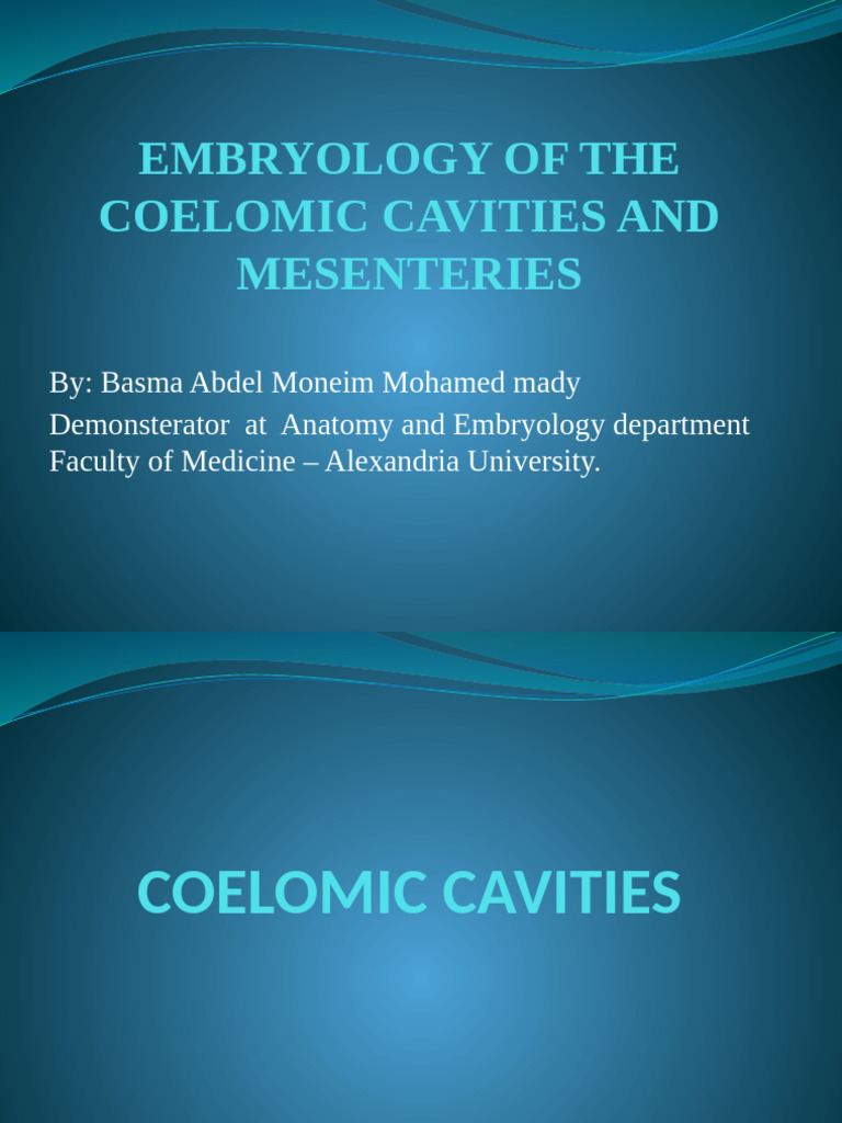 Coelom Sadler | PDF