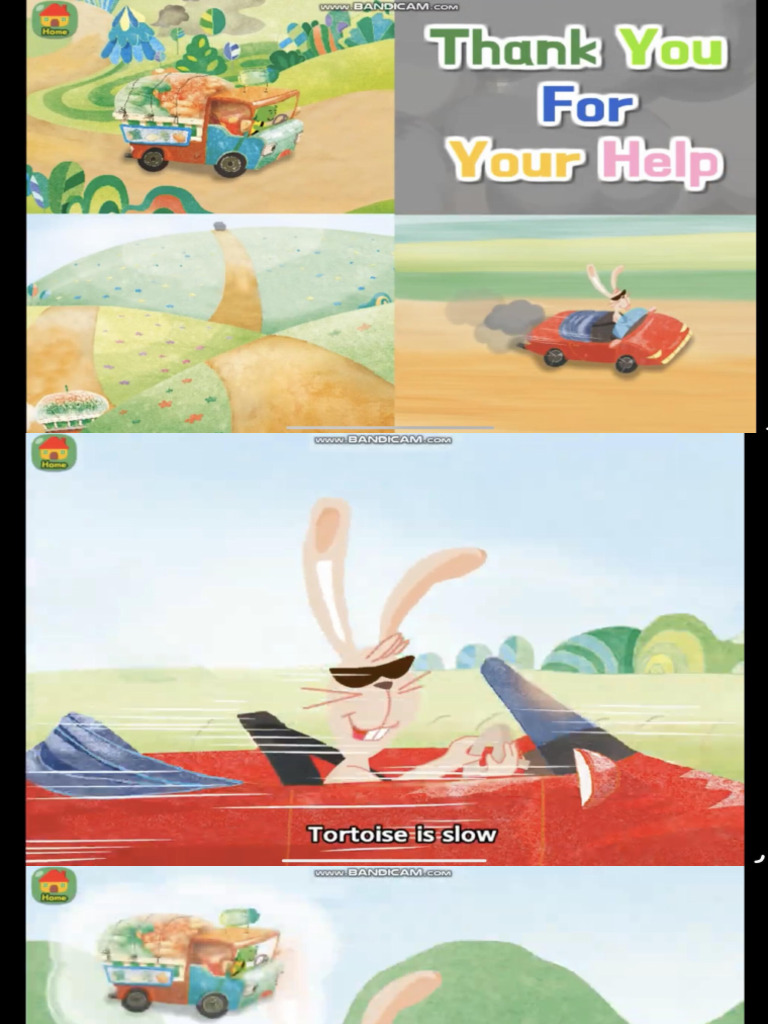 Bellis perennis visual data 2