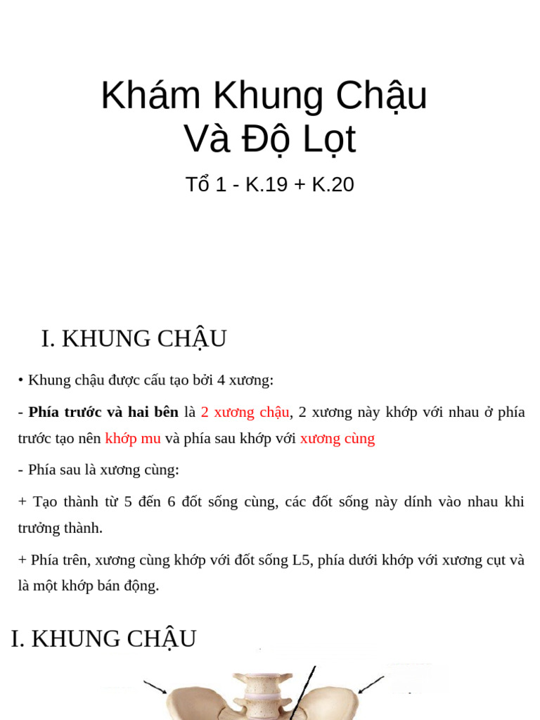 KCLS Bacchuon | PDF