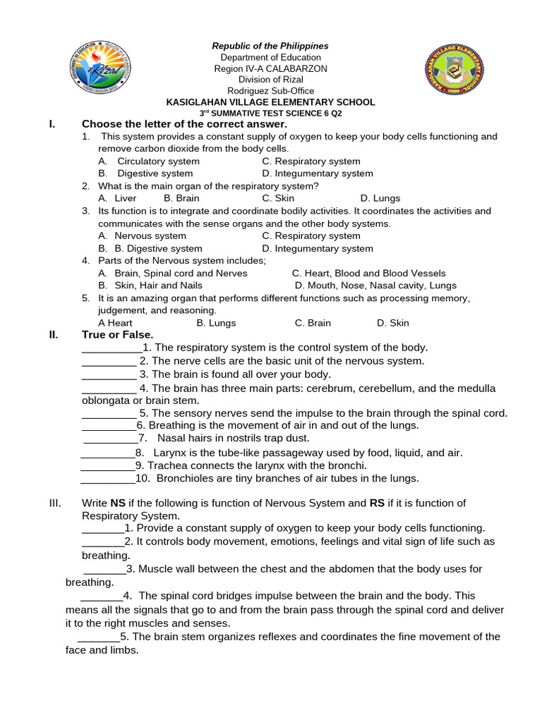 3rd Summative in Science 6 q2 | PDF | Human Body | Self-Improvement