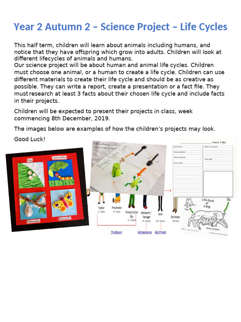 FisD5bMQQam2NS3fPA0B Aut+2+Science+Project+-+Life+Cycles | PDF