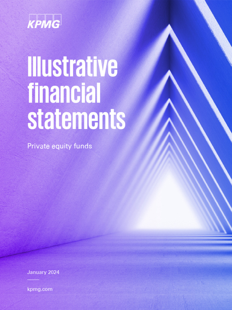 Private Equity Fund Financial Statements | PDF | Financial Statement |  Business