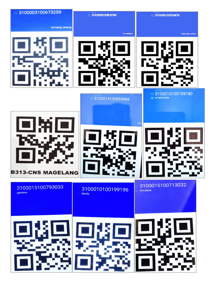 Barcode | PDF