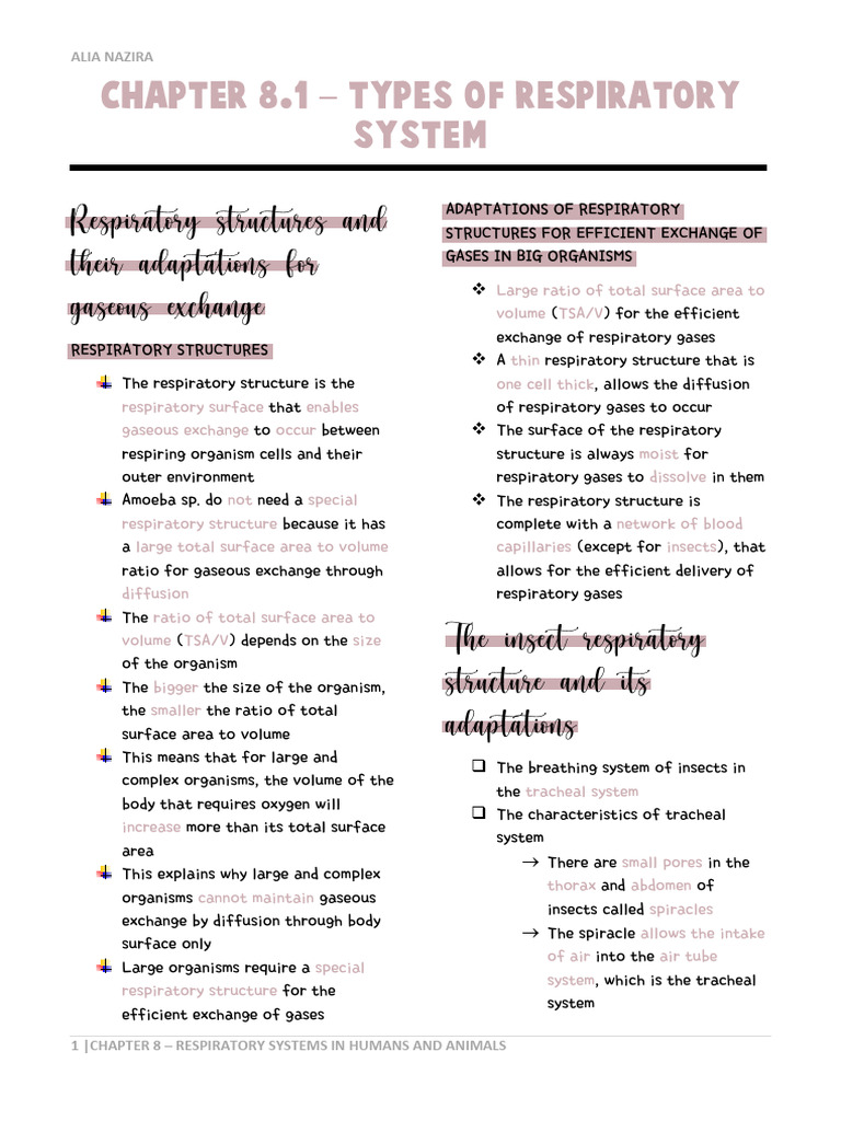 Biology CHAPTER 8 | PDF | Respiratory System | Breathing