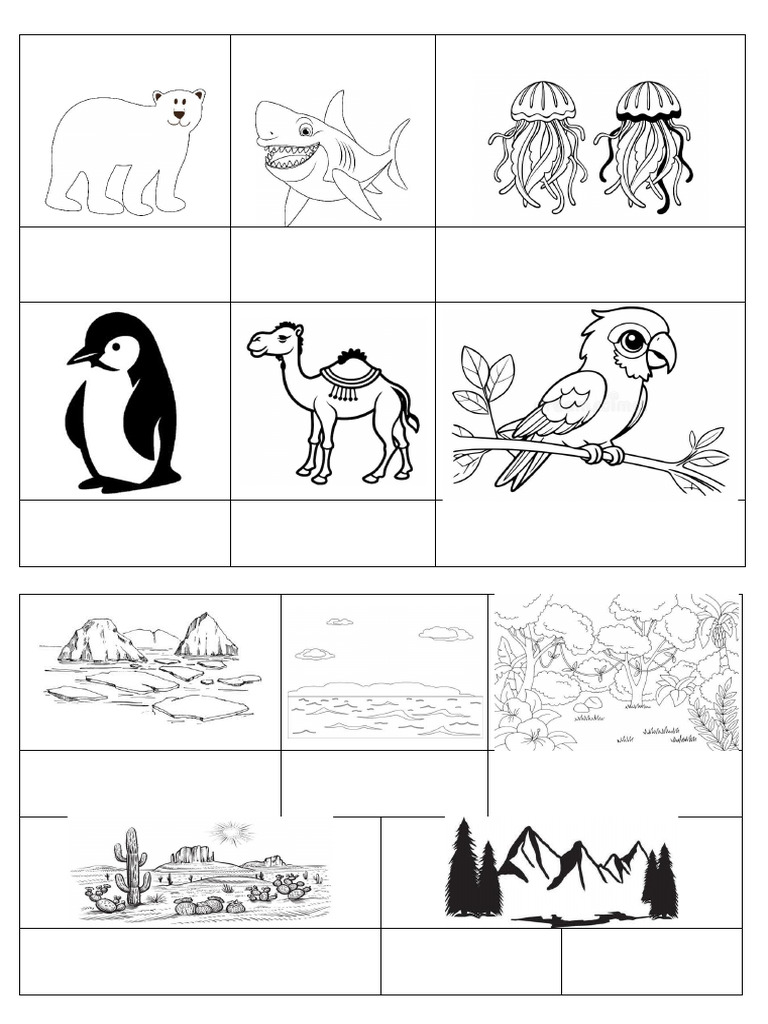 Polar Region Another Name