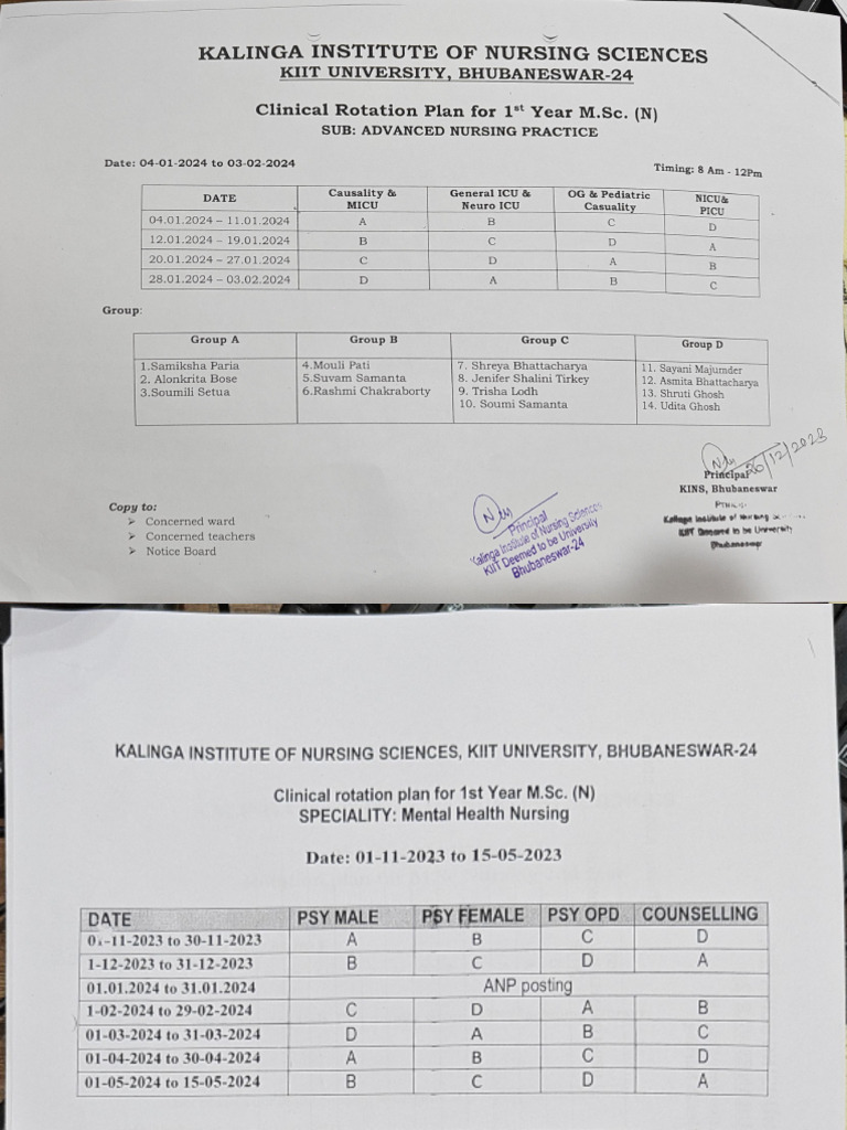 Sample Clinical Rotation Plans | PDF