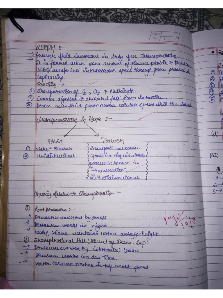 Ch 1 Life Process Pdf