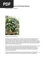 Download Binahong Dan Teh by Norman Fajar Adiguna SN76443772 doc pdf