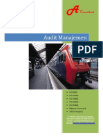 Management Audit by A Consultant